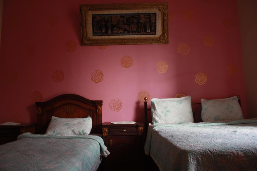 Hola Cairo Hostel Kamer foto
